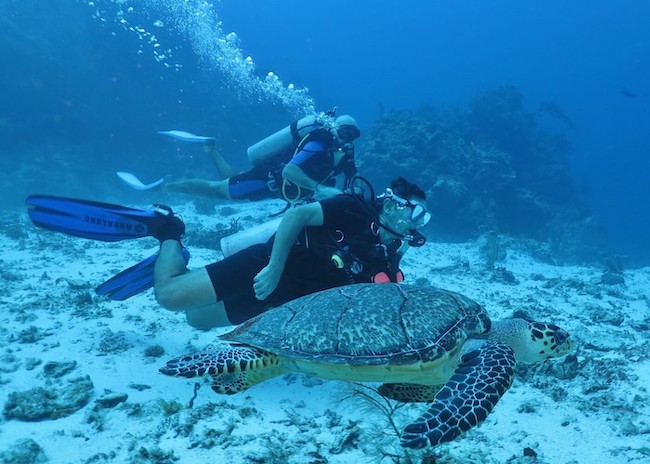 George and Erik learning to scuba dive in the reefs of the Cozumel island.